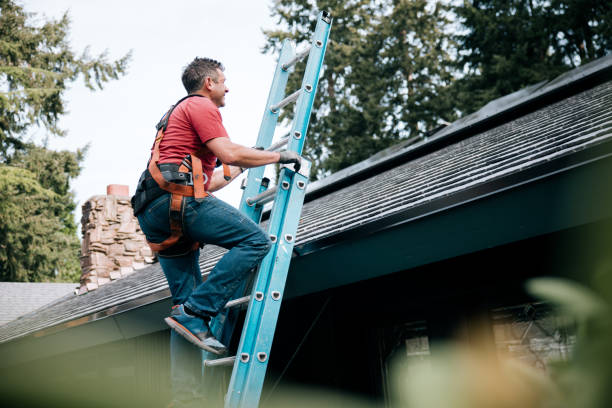 Best Roof Installation  in Carol Stream, IL