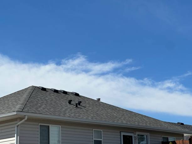 Best Solar Panel Roofing Installation  in Carol Stream, IL