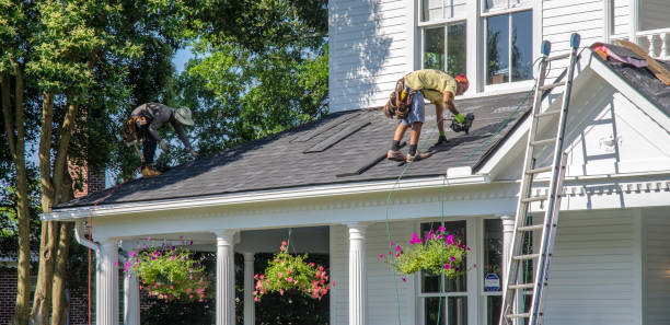 Best Green or Eco-Friendly Roofing Solutions  in Carol Stream, IL